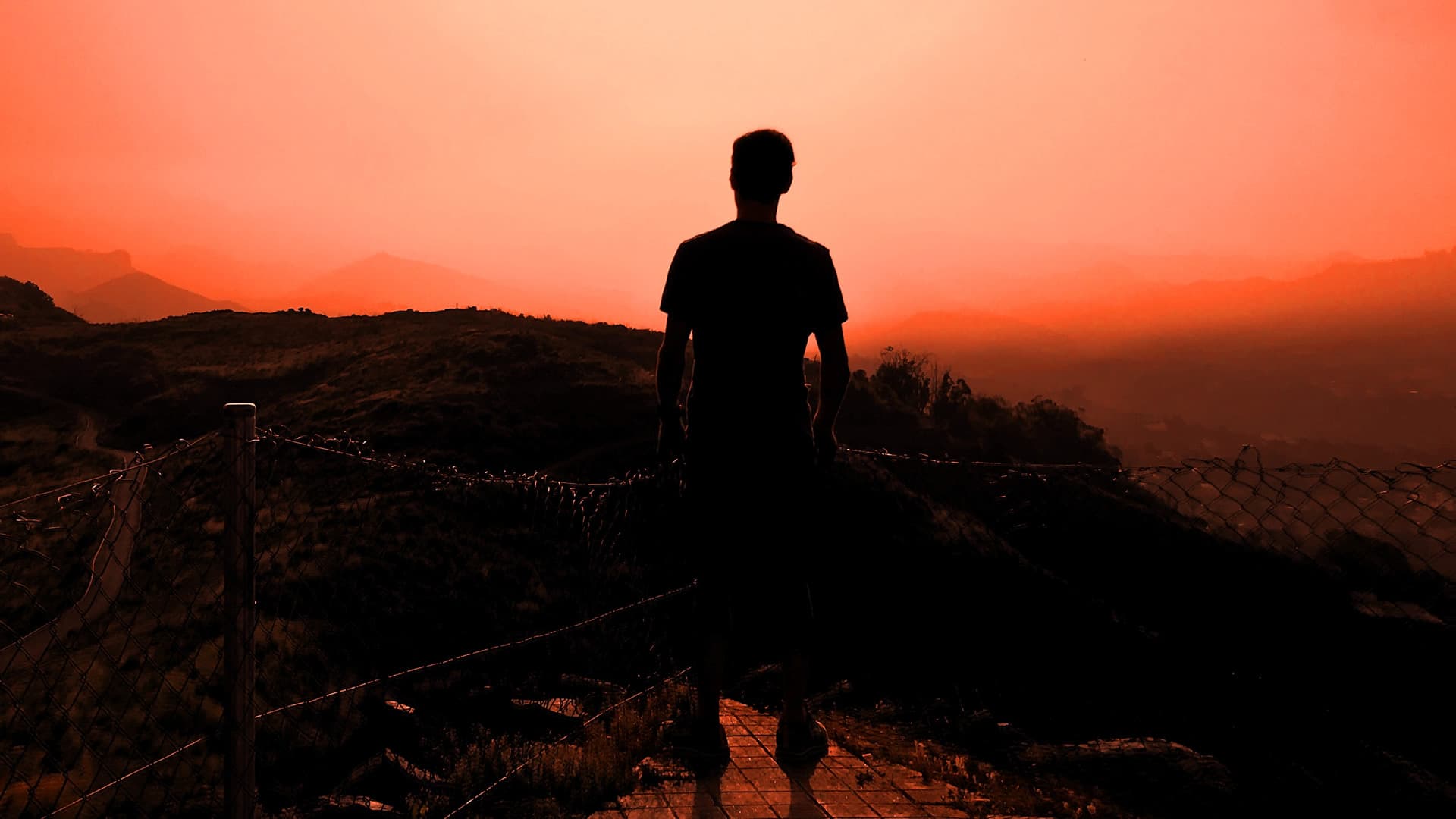 Mi vida por un like ¿Quién eres realmente?