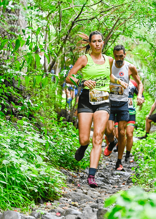 Trail Pino Santo
