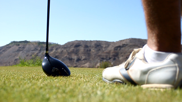 palo de golf